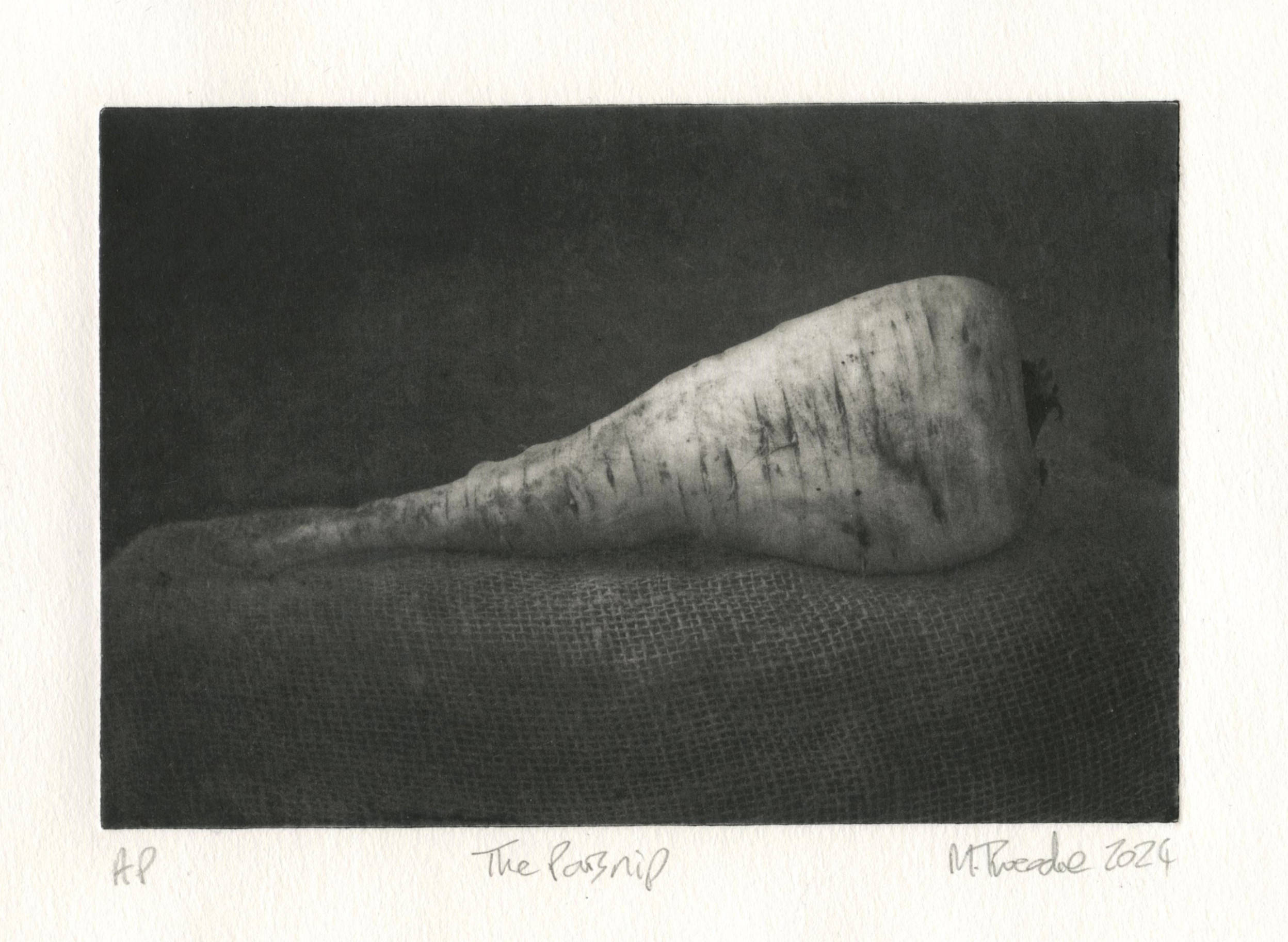 The Parsnip photogravure